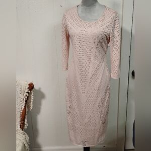 Carmen Marc Valvo Blush Lace Long Sleeve Dress